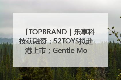 TOPBRAND｜乐享科技获融资；52TOYS拟赴港上市；Gentle Monster合作谷歌；Valentino传播官离职