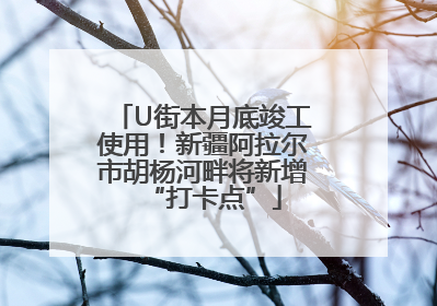 U街本月底竣工使用！新疆阿拉尔市胡杨河畔将新增“打卡点”